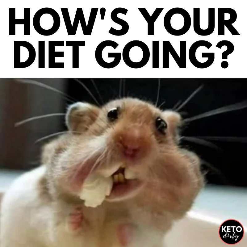 hows-your-diet-going-meme.jpg